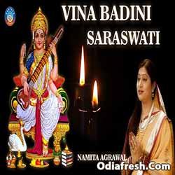 Vina Badini Saraswati (Namita Agrawal)